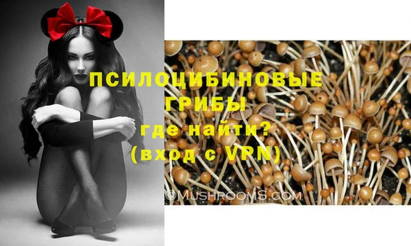 jwh Алзамай